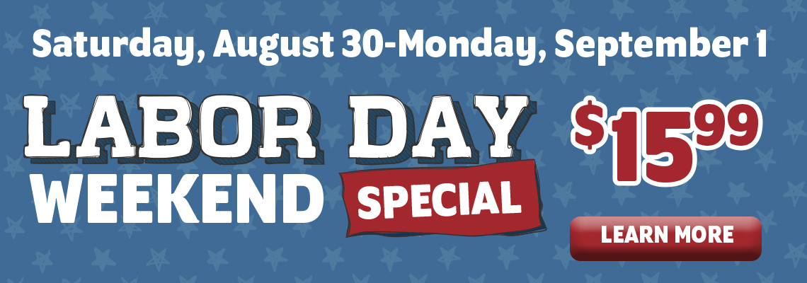a labor day special for HP banner